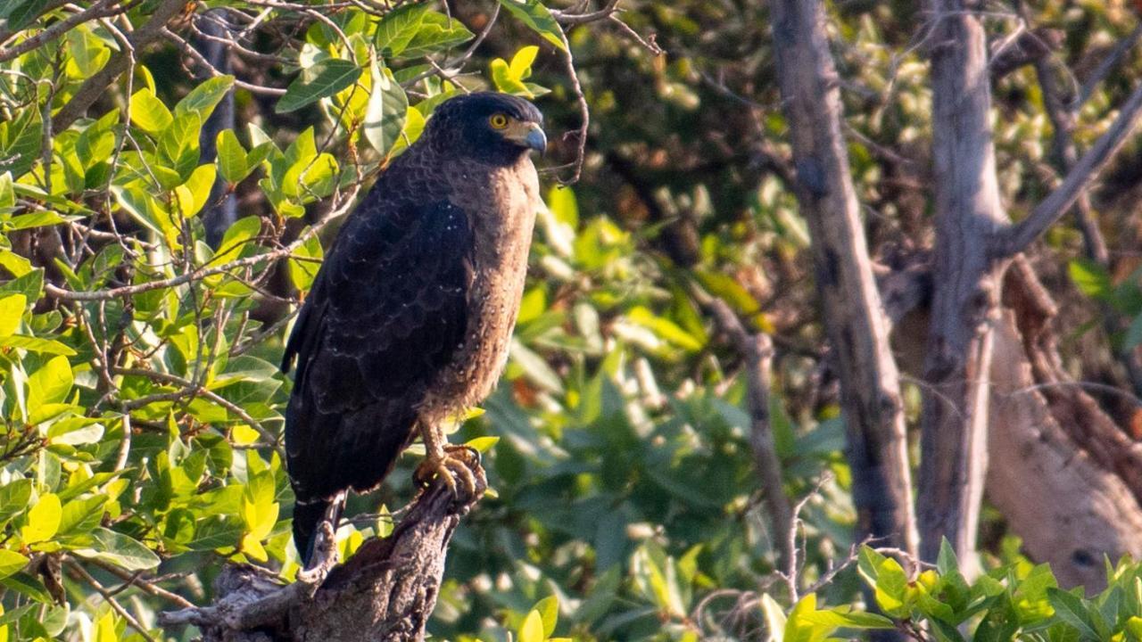 Dera Baghdarrah Nature Retreat Ουνταϊπούρ Εξωτερικό φωτογραφία