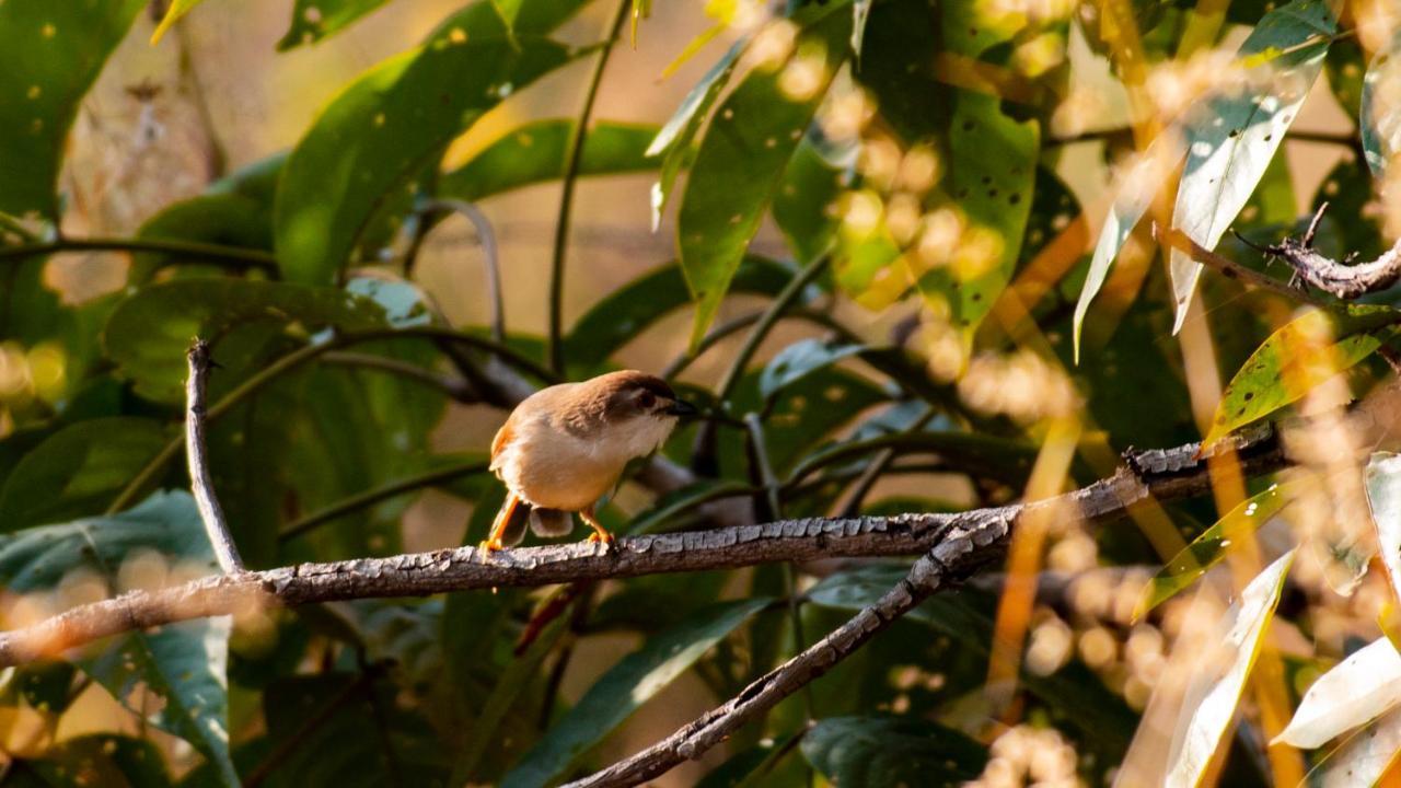 Dera Baghdarrah Nature Retreat Ουνταϊπούρ Εξωτερικό φωτογραφία