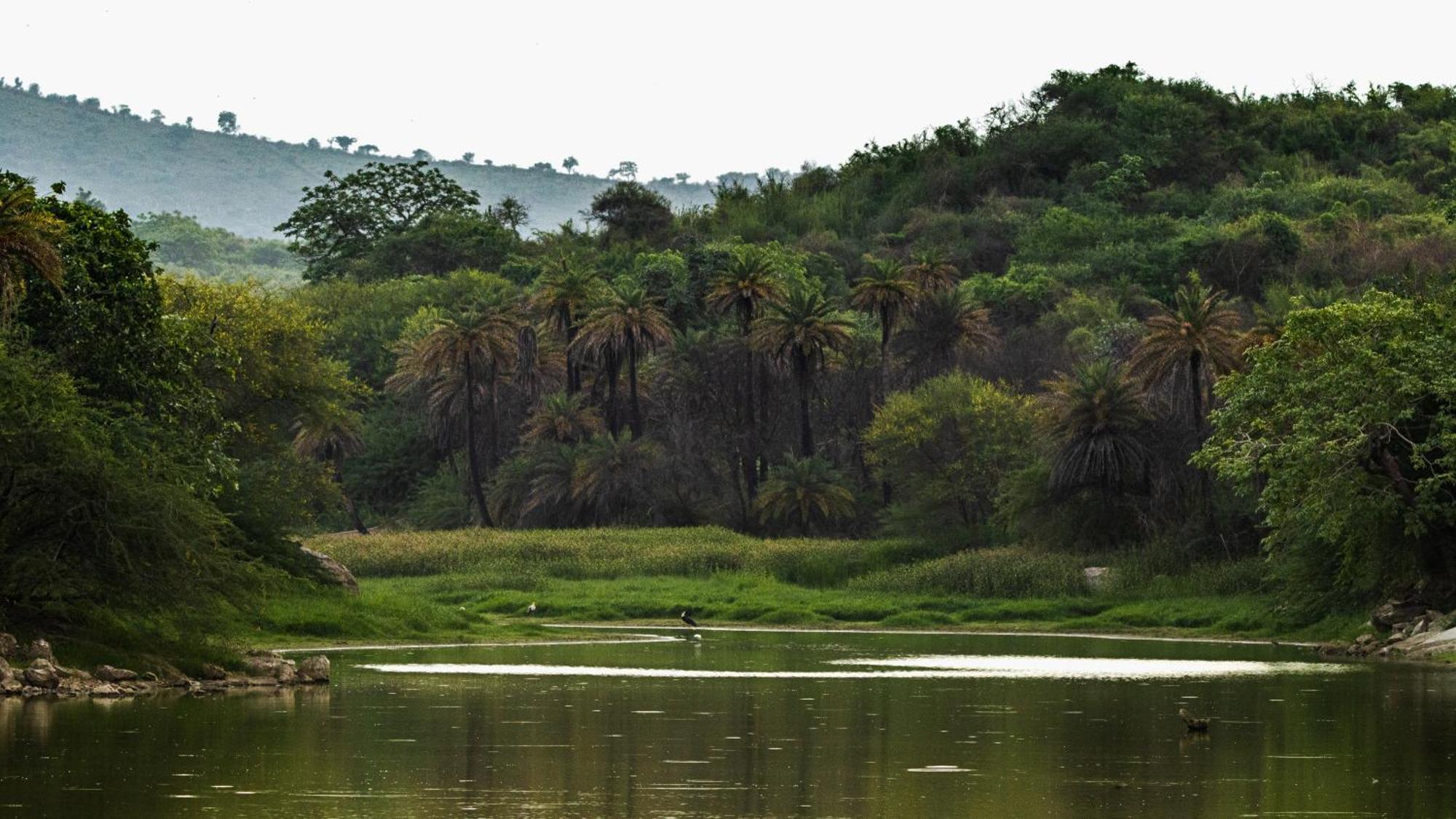 Dera Baghdarrah Nature Retreat Ουνταϊπούρ Εξωτερικό φωτογραφία