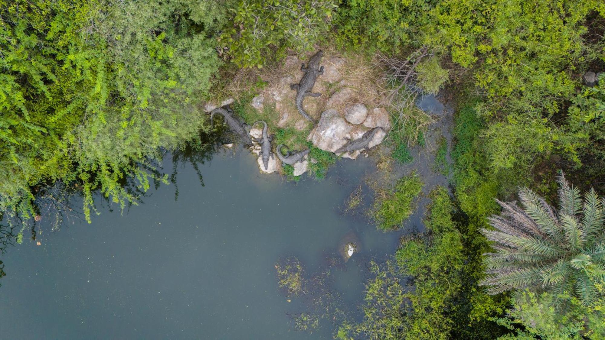 Dera Baghdarrah Nature Retreat Ουνταϊπούρ Εξωτερικό φωτογραφία